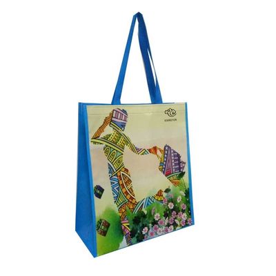 30〜50cm リサイクル Pp織物買い物袋 カスタム再利用可能な食料品袋